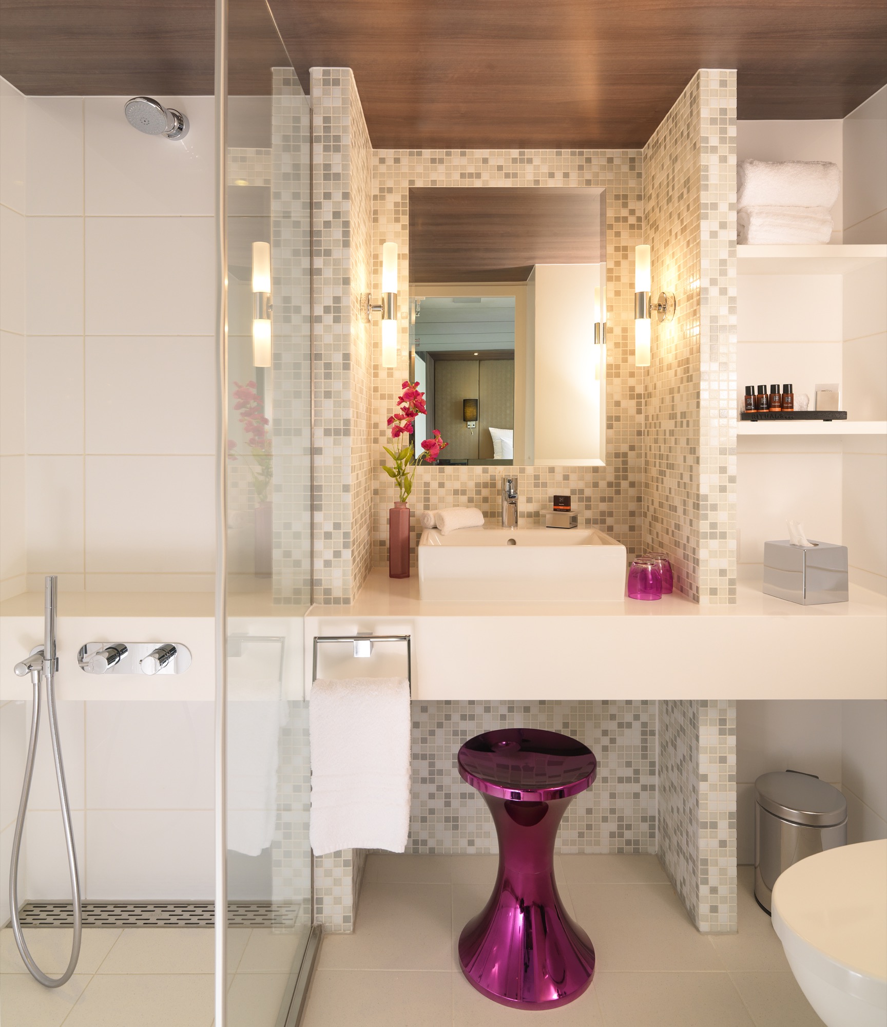 Amadeus Waterways 01 AMADEUS Silver II_Suite 02.jpg